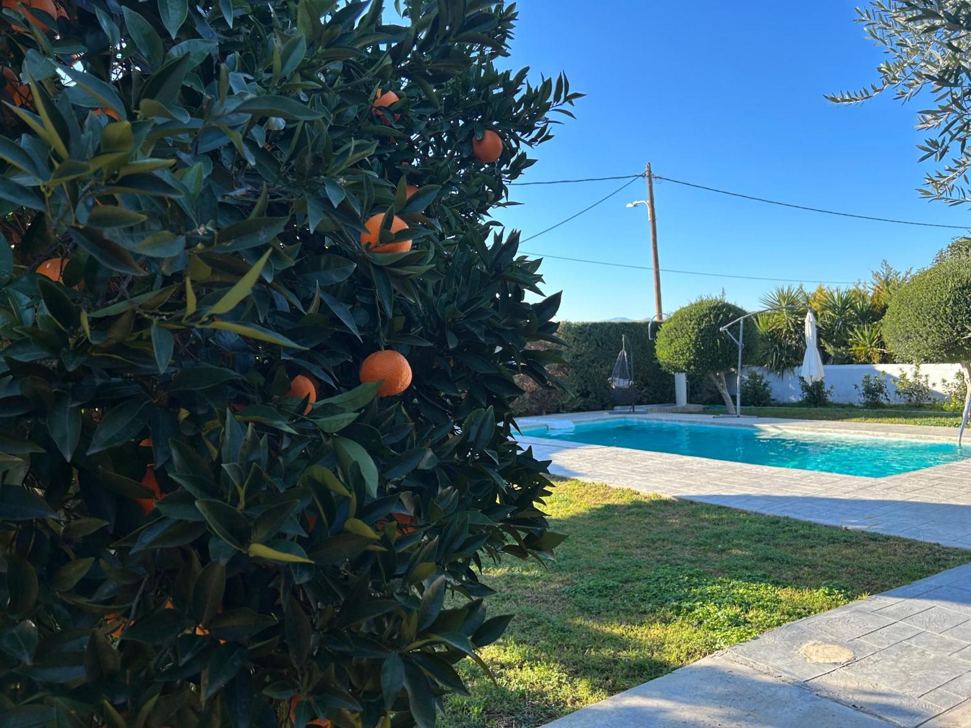 Ferienwohnung The Orange Garden Nafplio Exterior foto